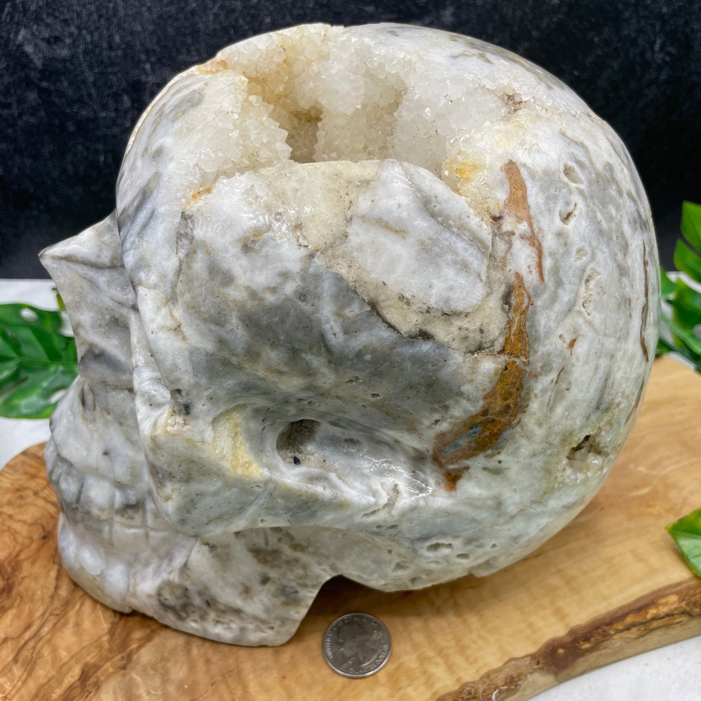 Massive 17 lb Druzy Agate Skull - Sage & Magic