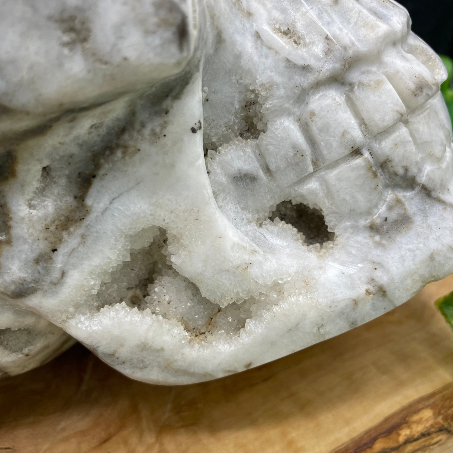 Massive 17 lb Druzy Agate Skull - Sage & Magic