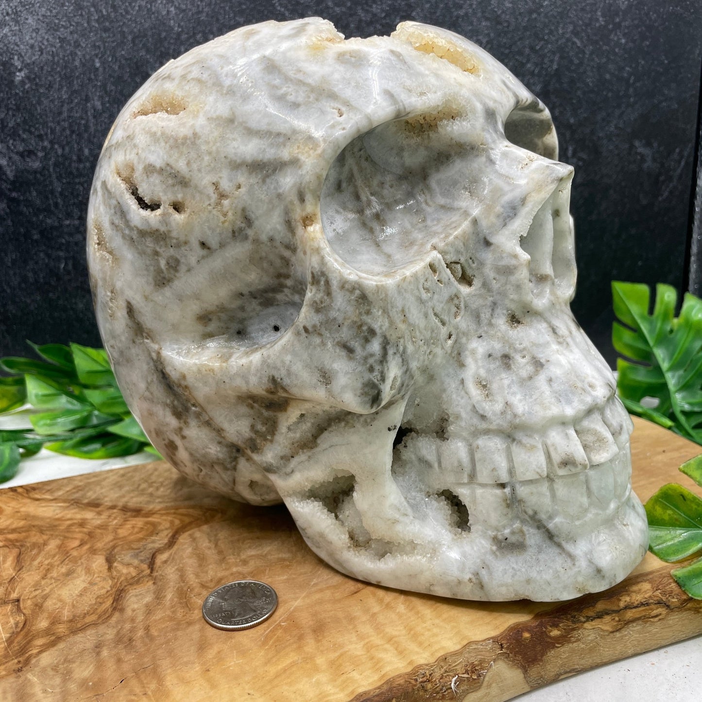 Massive 17 lb Druzy Agate Skull - Sage & Magic