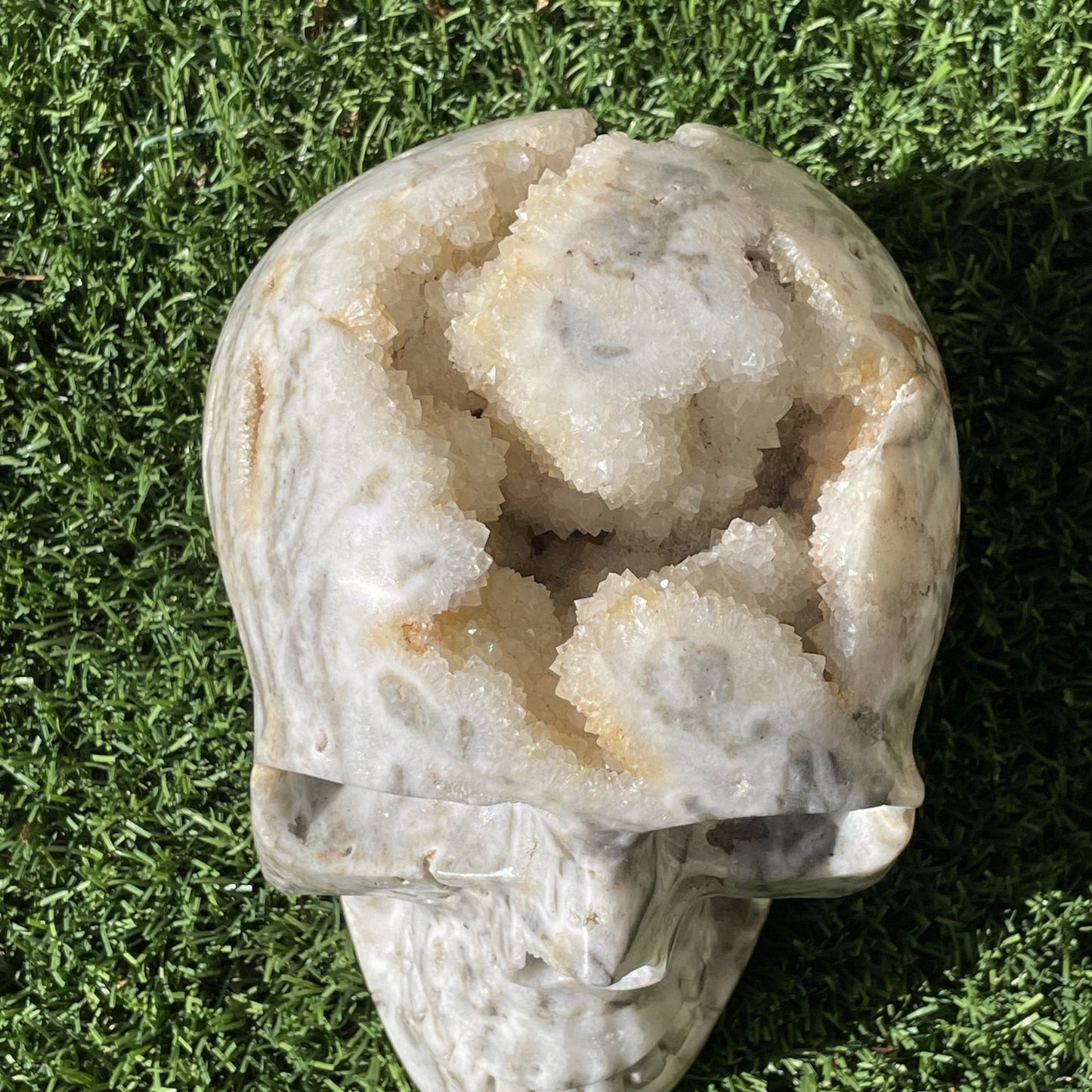 Massive 17 lb Druzy Agate Skull - Sage & Magic