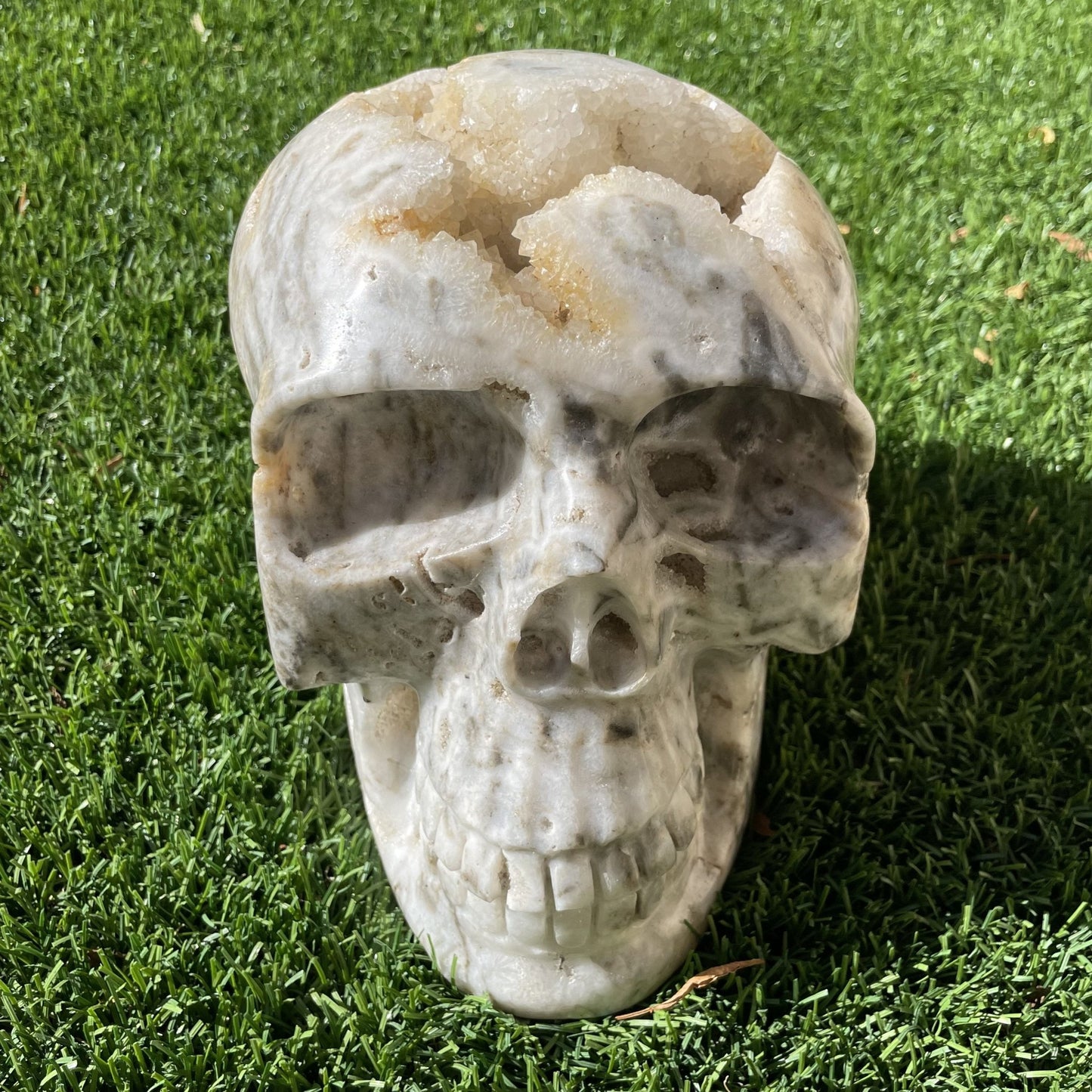 Massive 17 lb Druzy Agate Skull - Sage & Magic