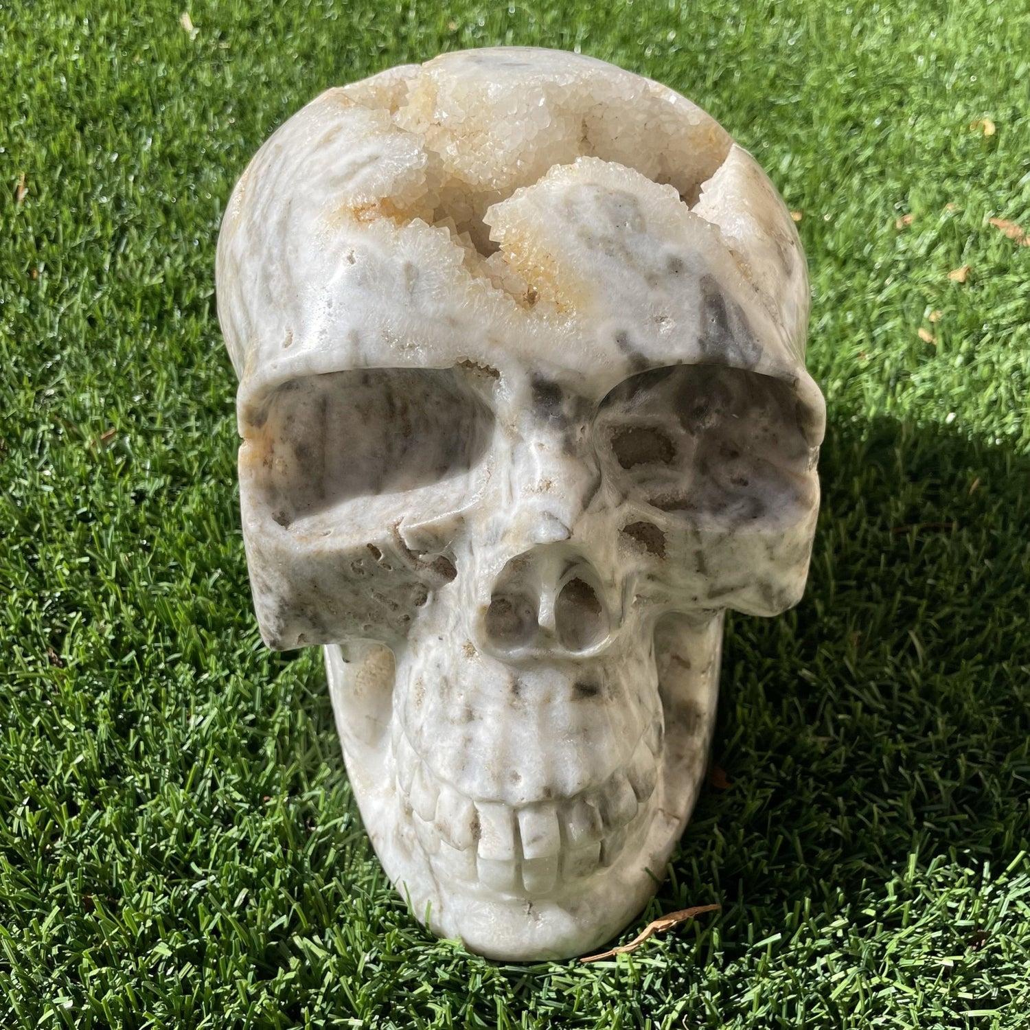 Massive 17 lb Druzy Agate Skull - Sage & Magic