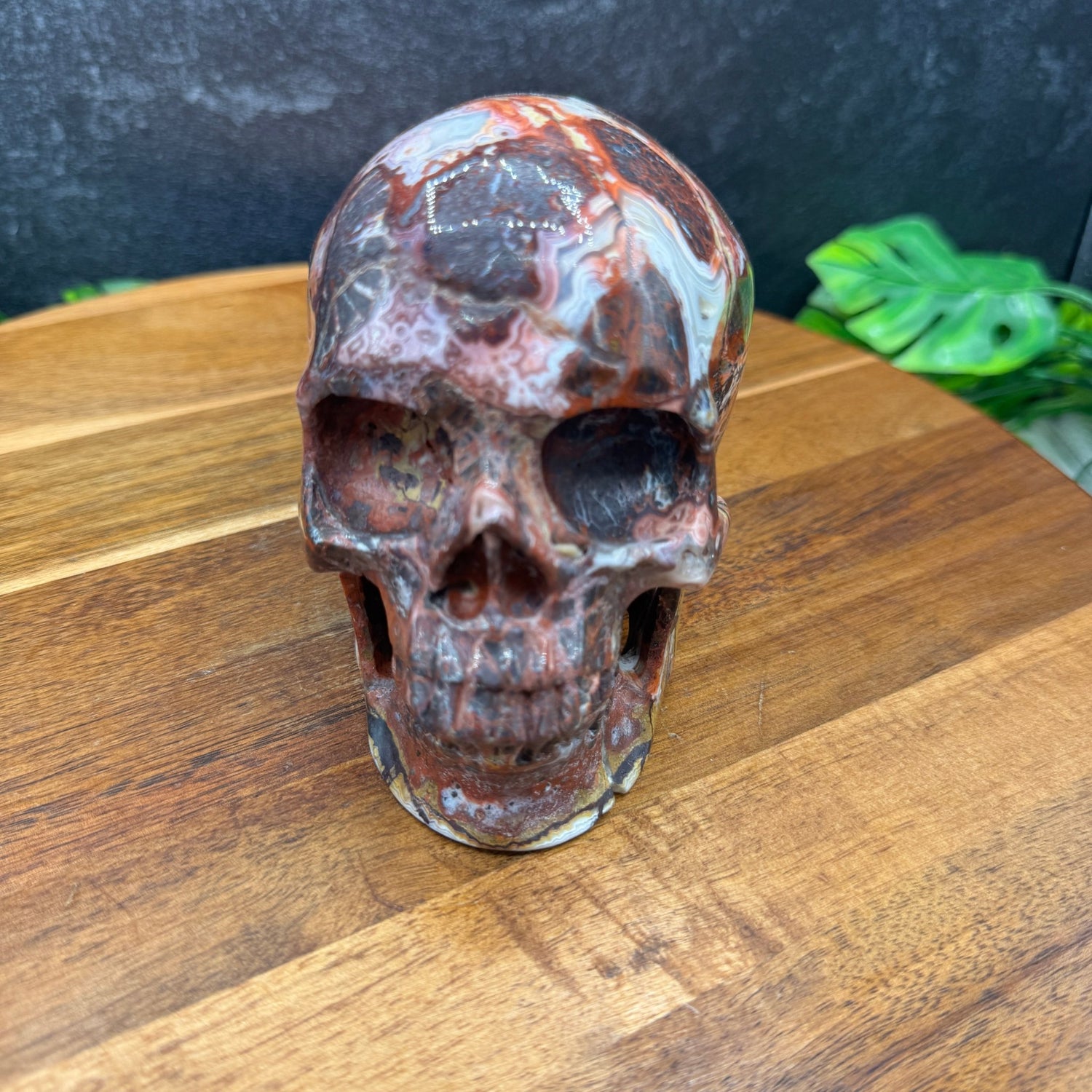 Mexican Crazy Lace Agate Skull - Sage & Magic