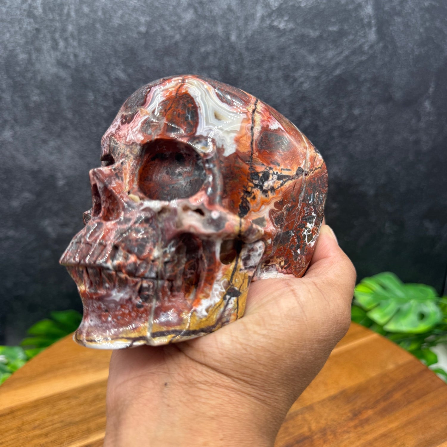 Mexican Crazy Lace Agate Skull - Sage & Magic