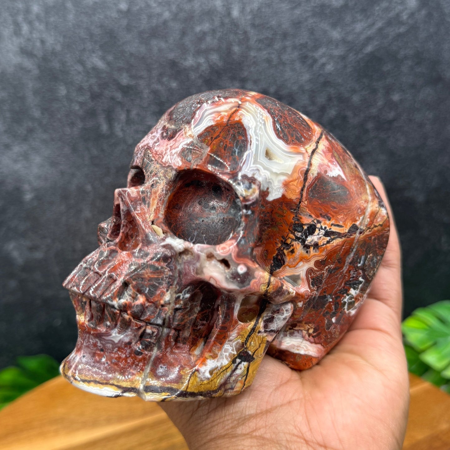 Mexican Crazy Lace Agate Skull - Sage & Magic