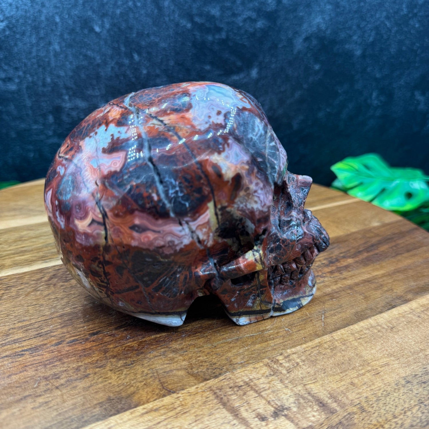 Mexican Crazy Lace Agate Skull - Sage & Magic