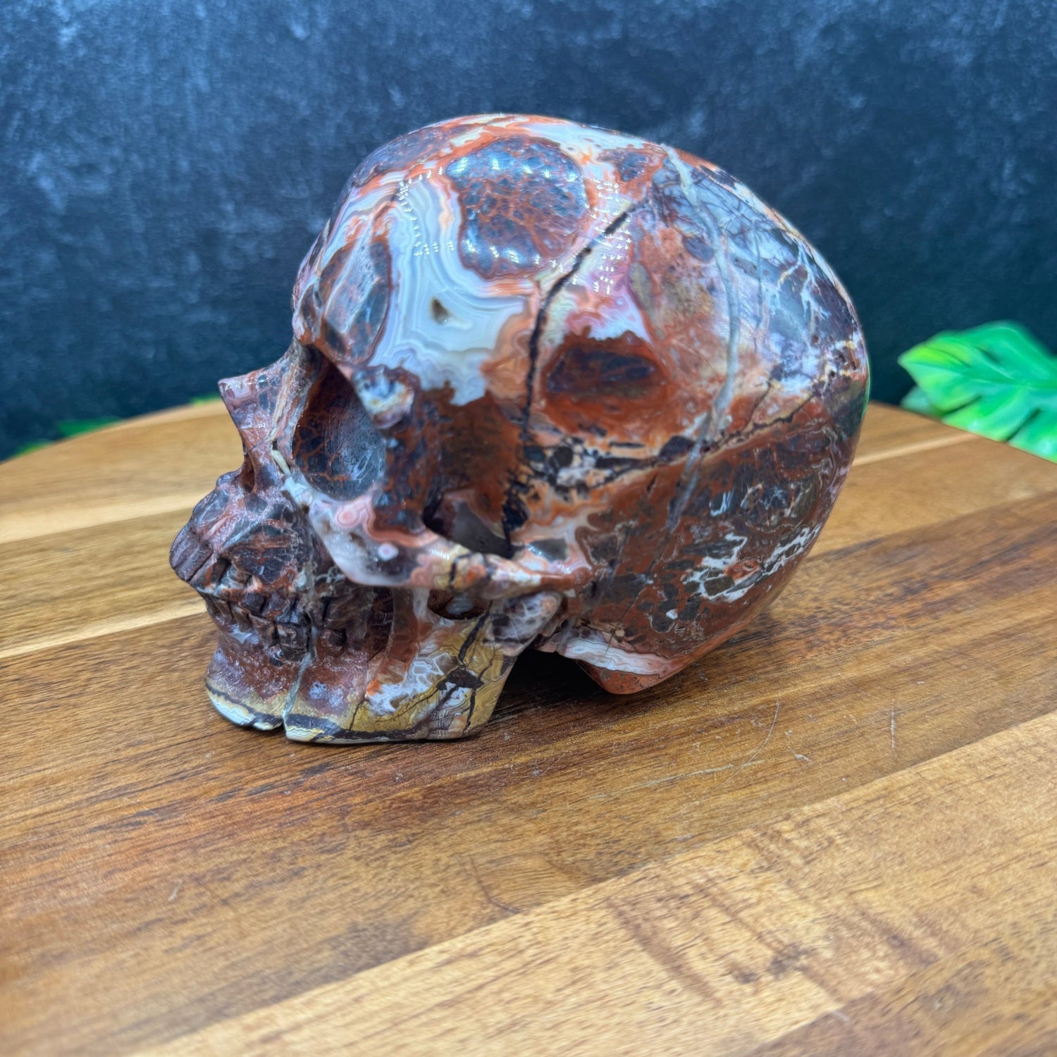 Mexican Crazy Lace Agate Skull - Sage & Magic