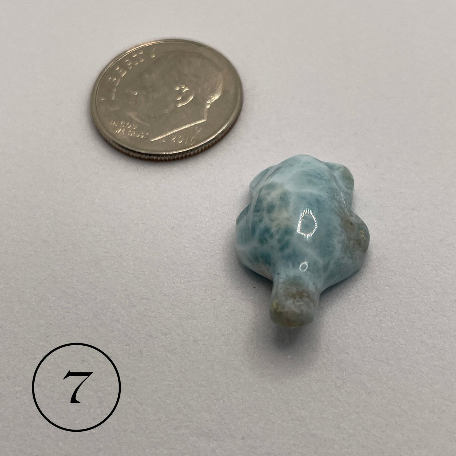 Mini Larimar Turtle Carving - Sage & Magic