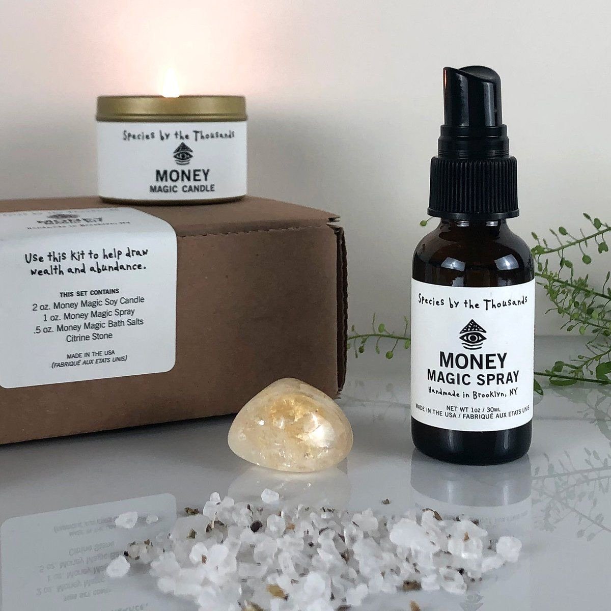 Money Magic Kit - Sage & Magic