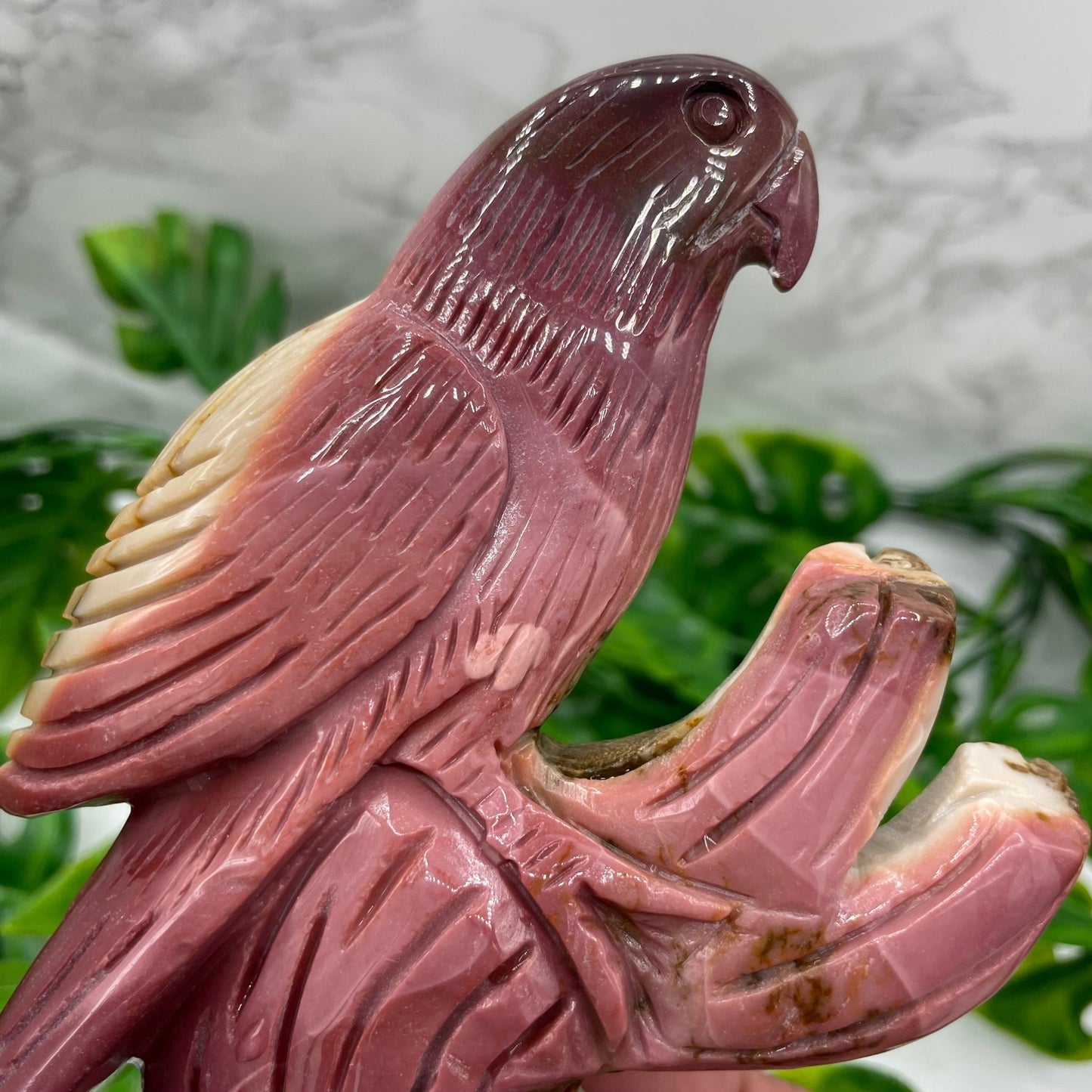 Mookaite Parrot on Tree - Sage & Magic