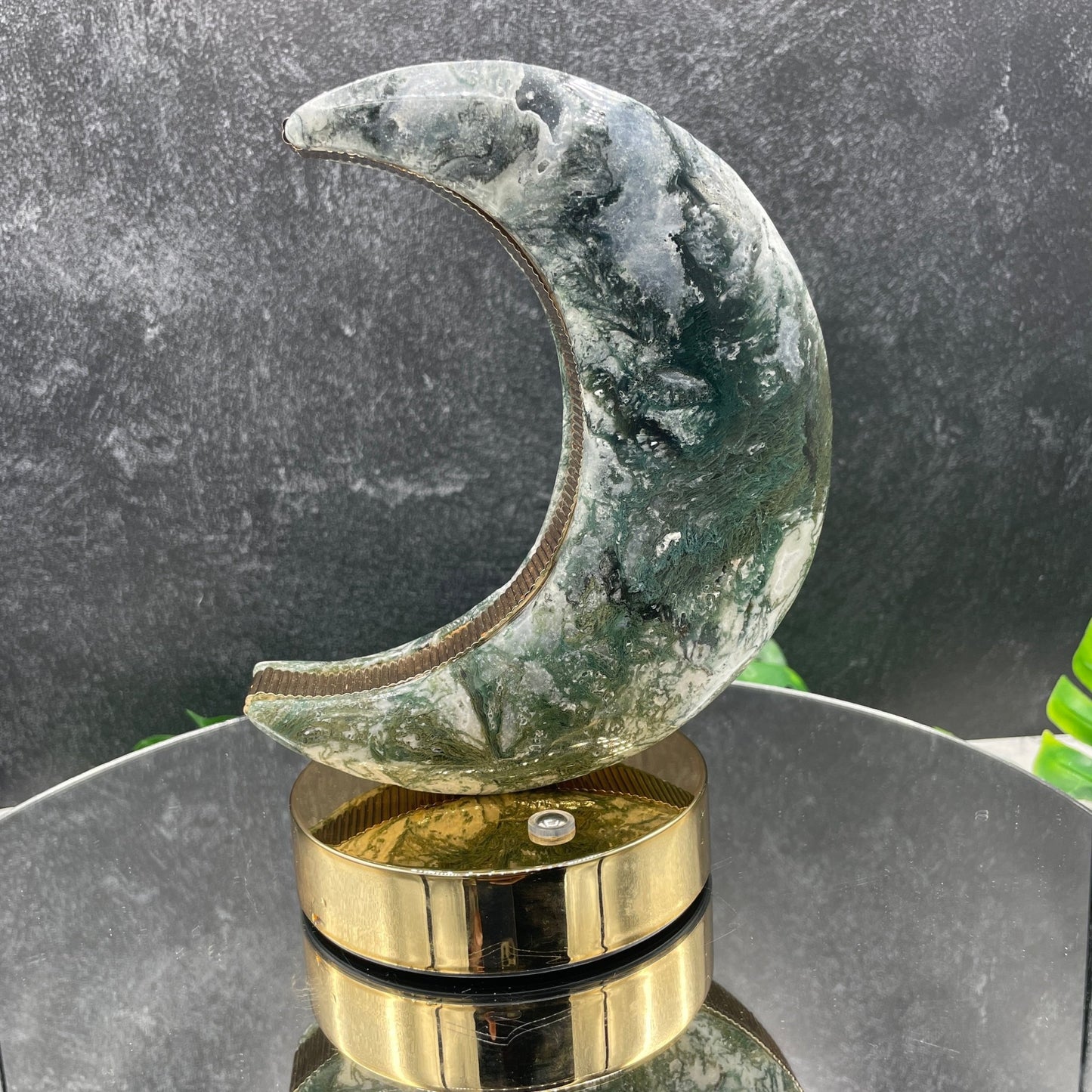 Moss Agate Moon Lamp - Sage & Magic