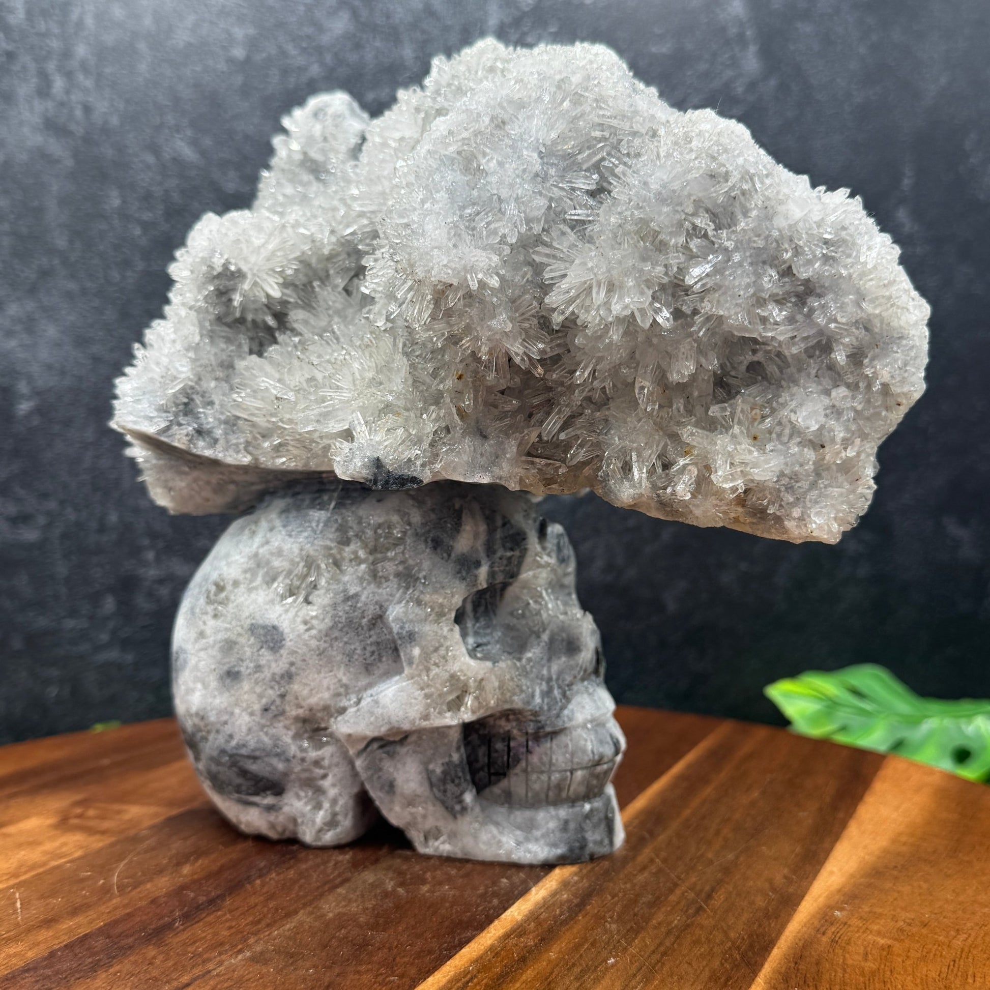 Natural Clear Quartz Cluster Unique Mohawk Skull - Sage & Magic