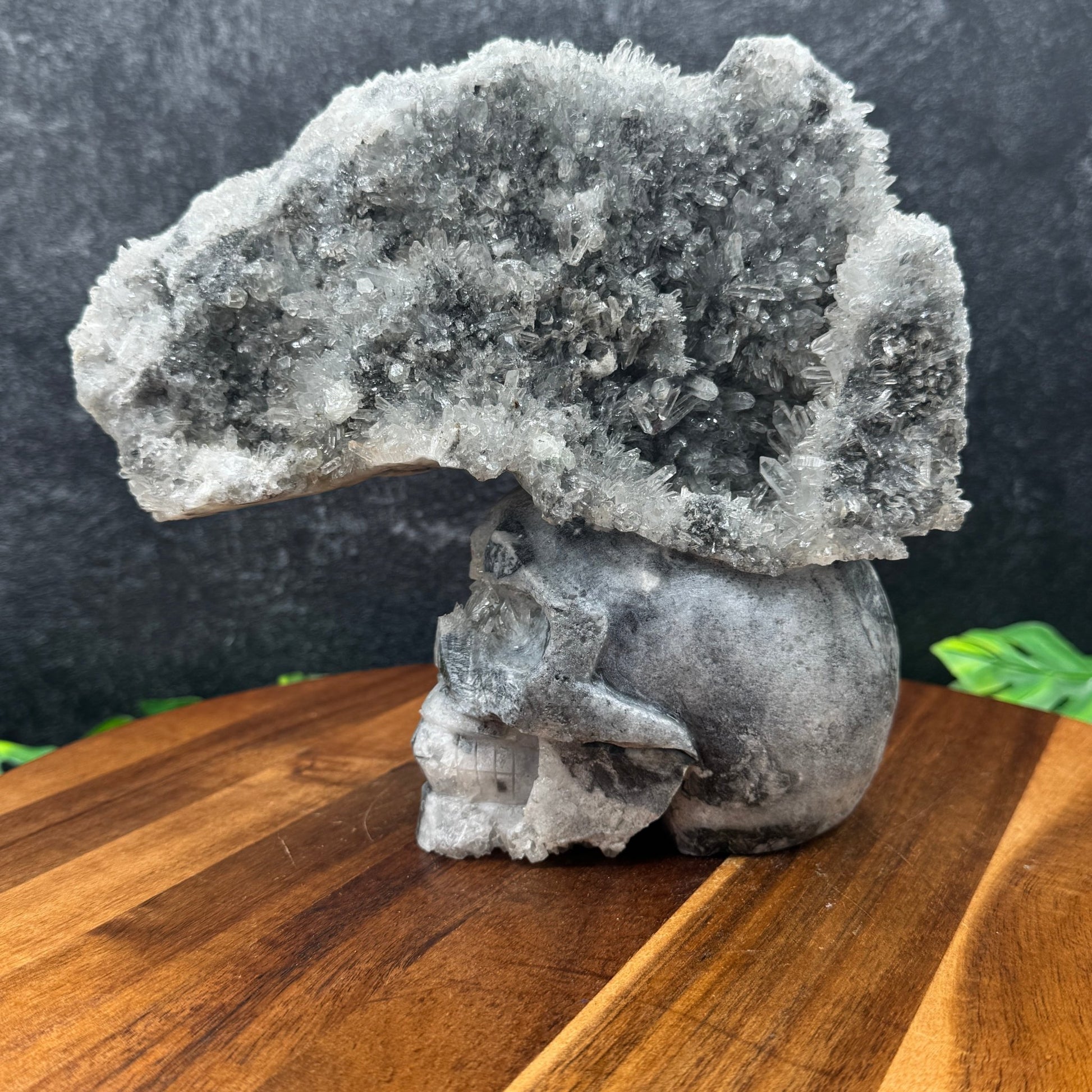 Natural Clear Quartz Cluster Unique Mohawk Skull - Sage & Magic