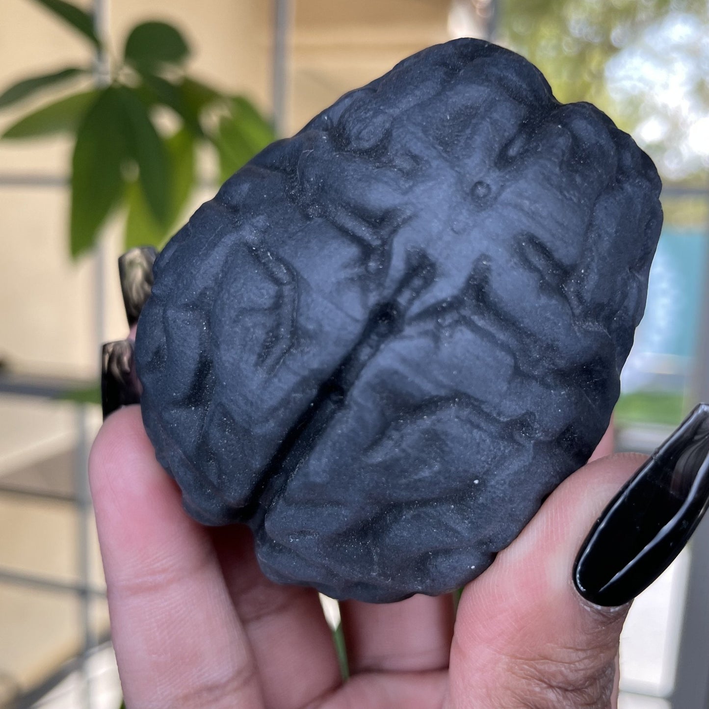 Natural Obsidian Brain - Sage & Magic