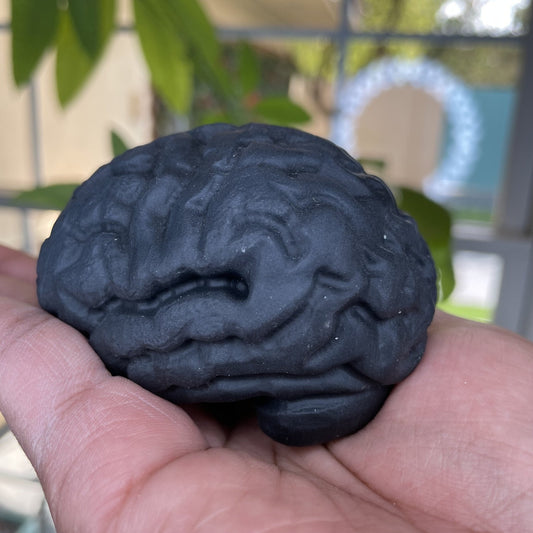 Natural Obsidian Brain - Sage & Magic