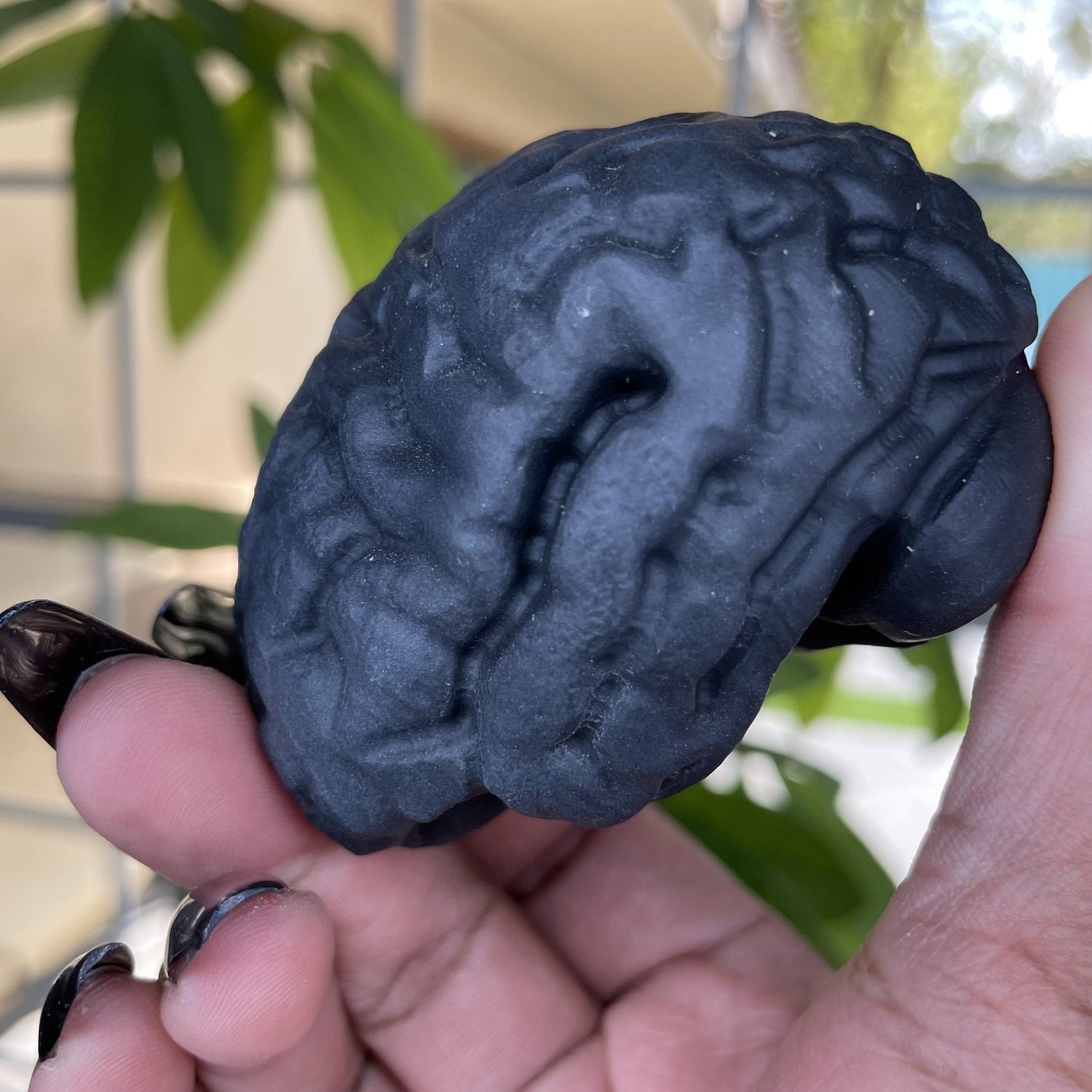 Natural Obsidian Brain - Sage & Magic