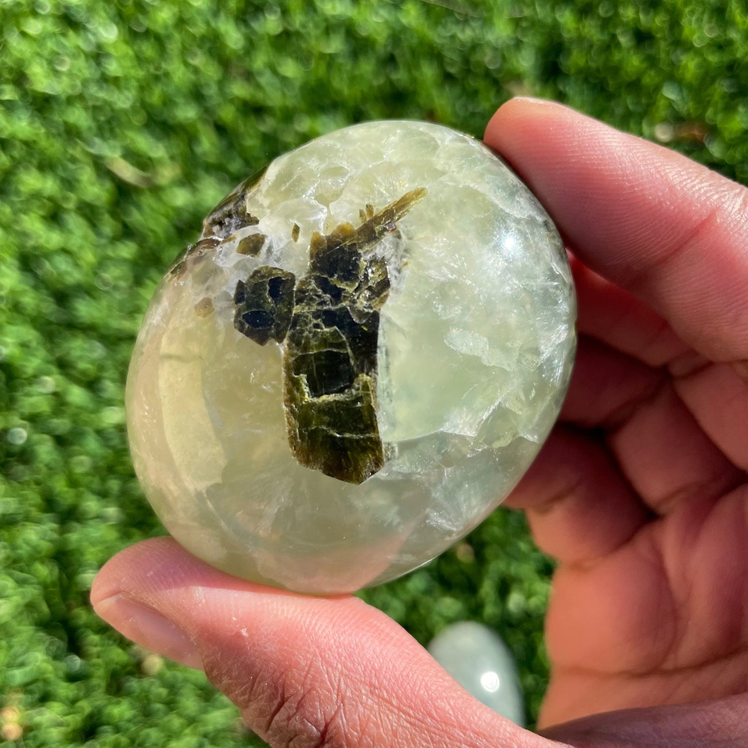 Natural Prehnite Egg Palm - Sage & Magic