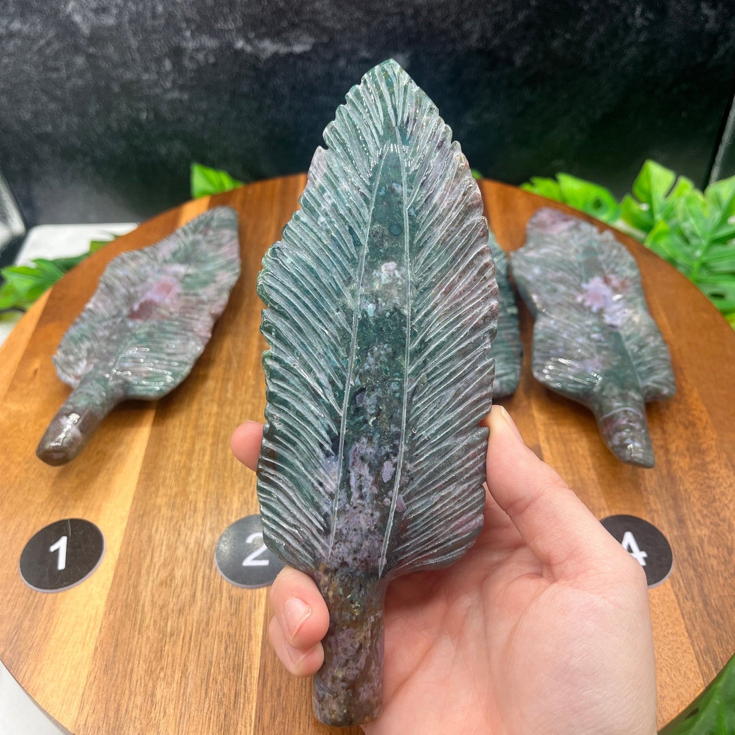 Ocean Jasper Feather Carving - Sage & Magic