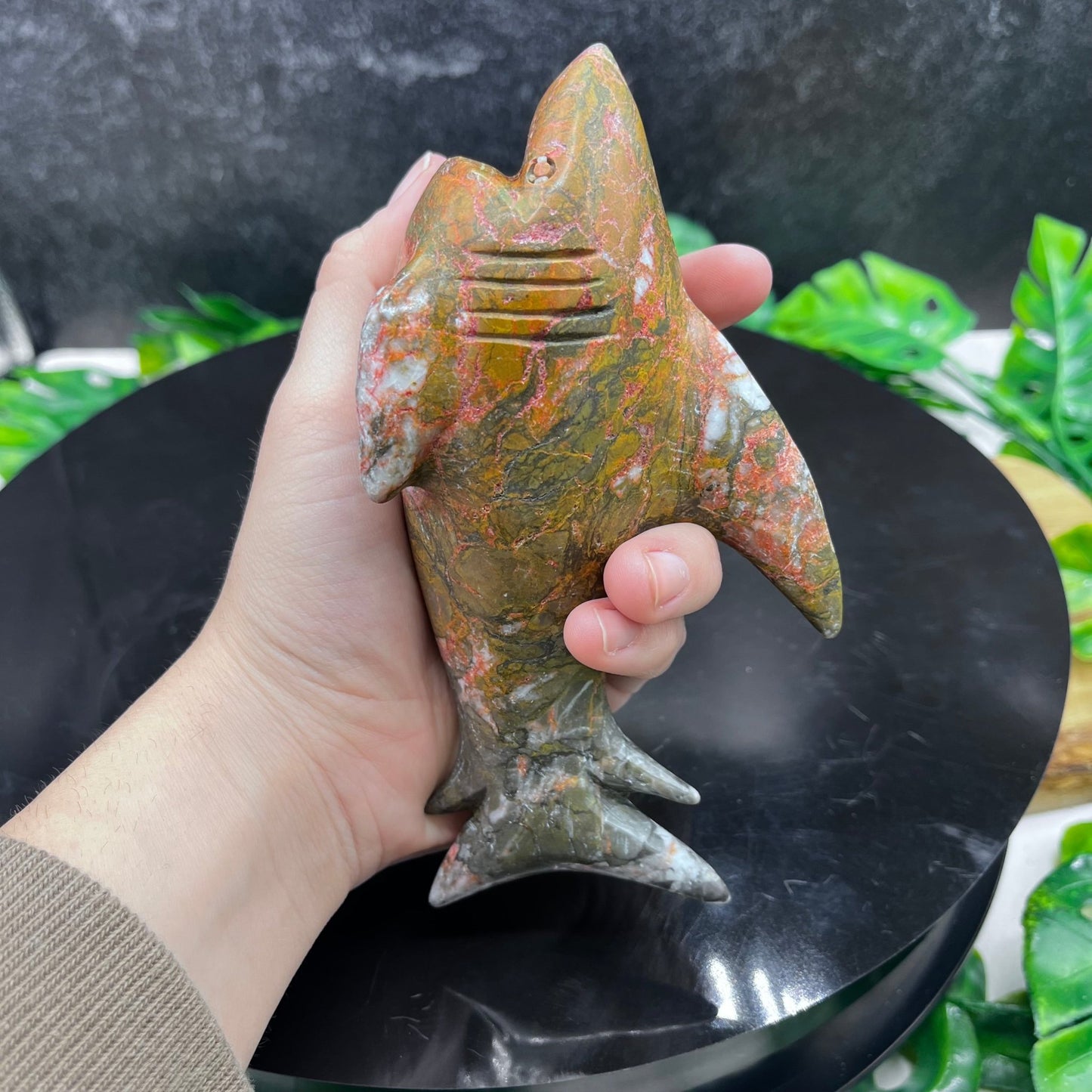 Ocean Jasper Shark - Sage & Magic