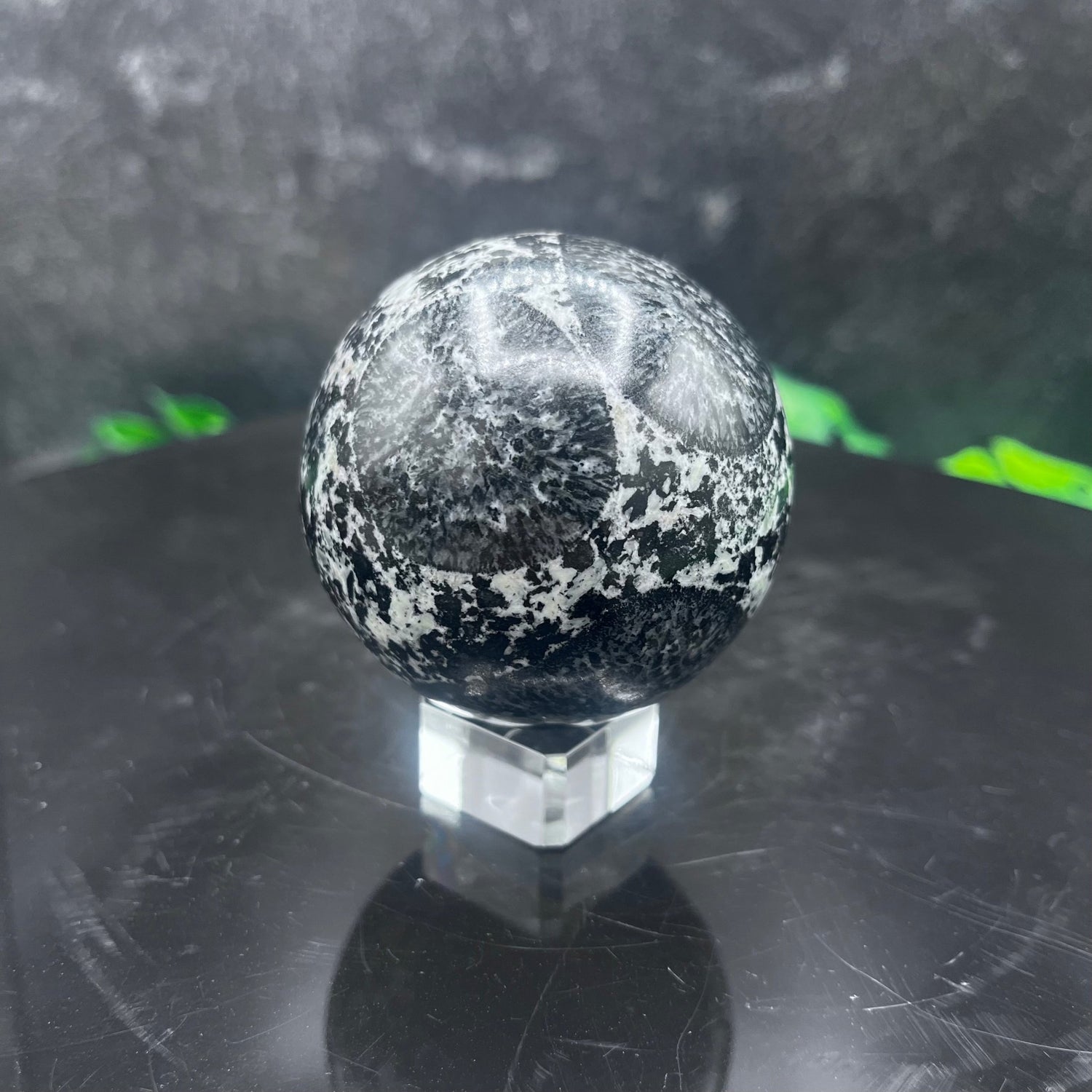 Orbicular Diorite Sphere - Sage & Magic