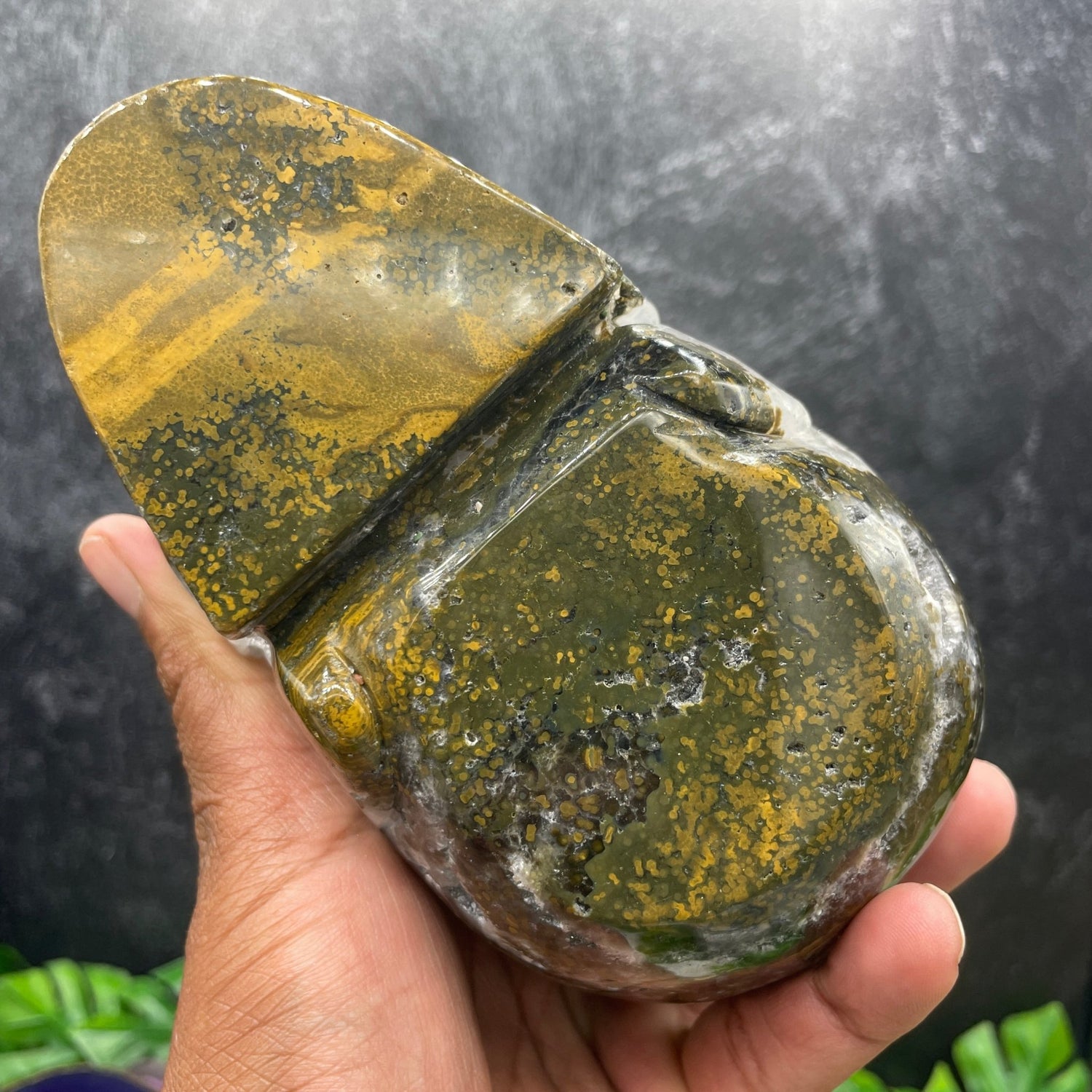 Orbicular Ocean Jasper Butterfly Skull with Druzy Cave - Sage & Magic