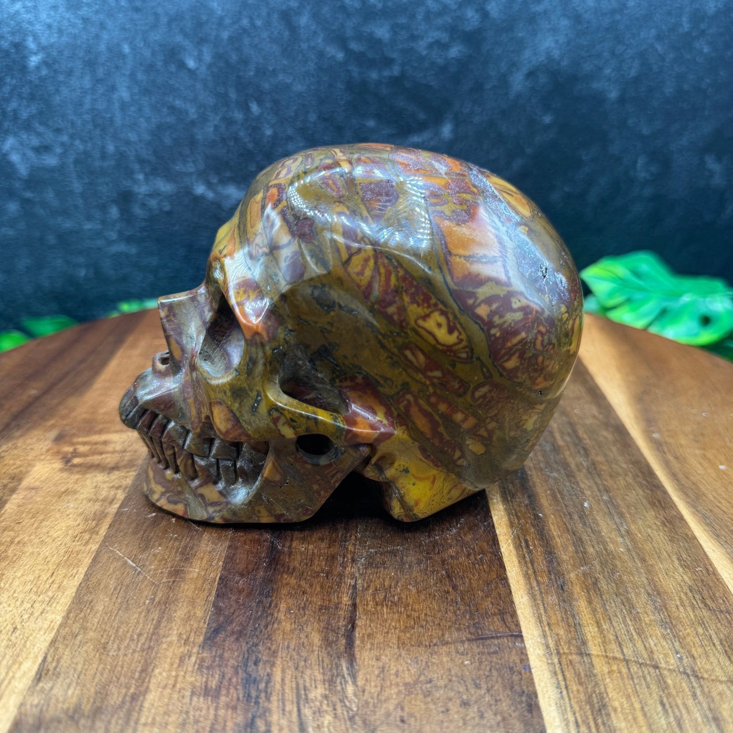 Outback Jasper Skull - Sage & Magic