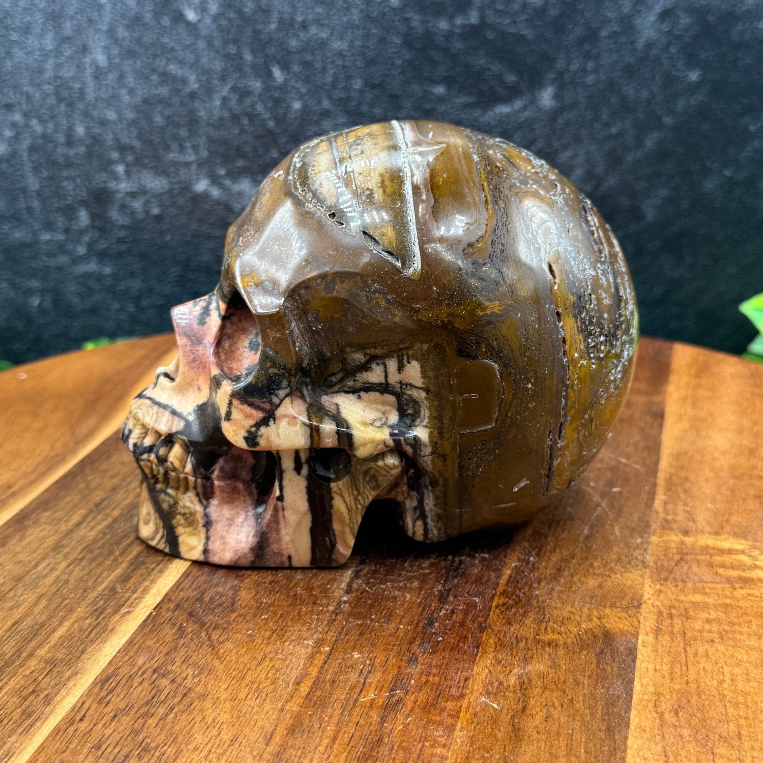 Outback Jasper Skull - Sage & Magic