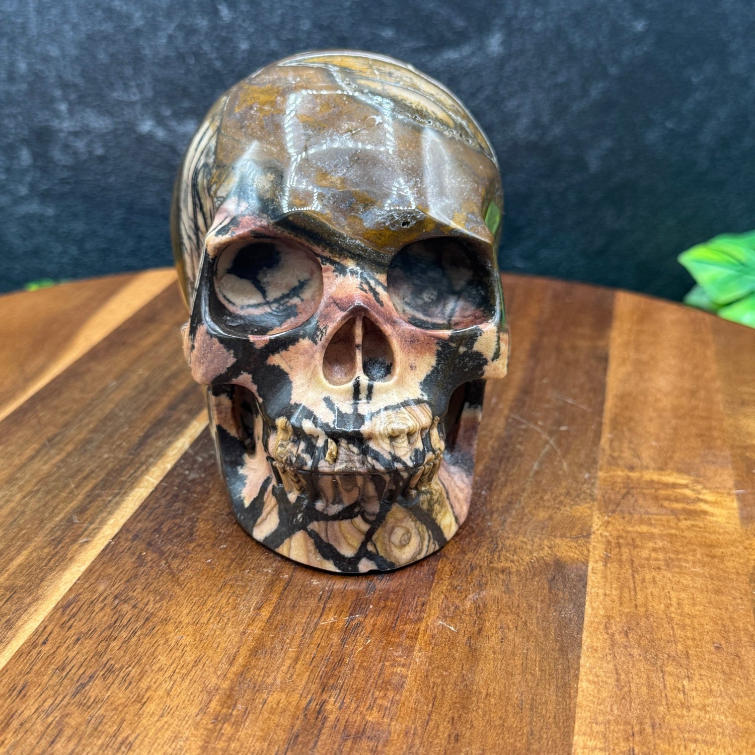 Outback Jasper Skull - Sage & Magic