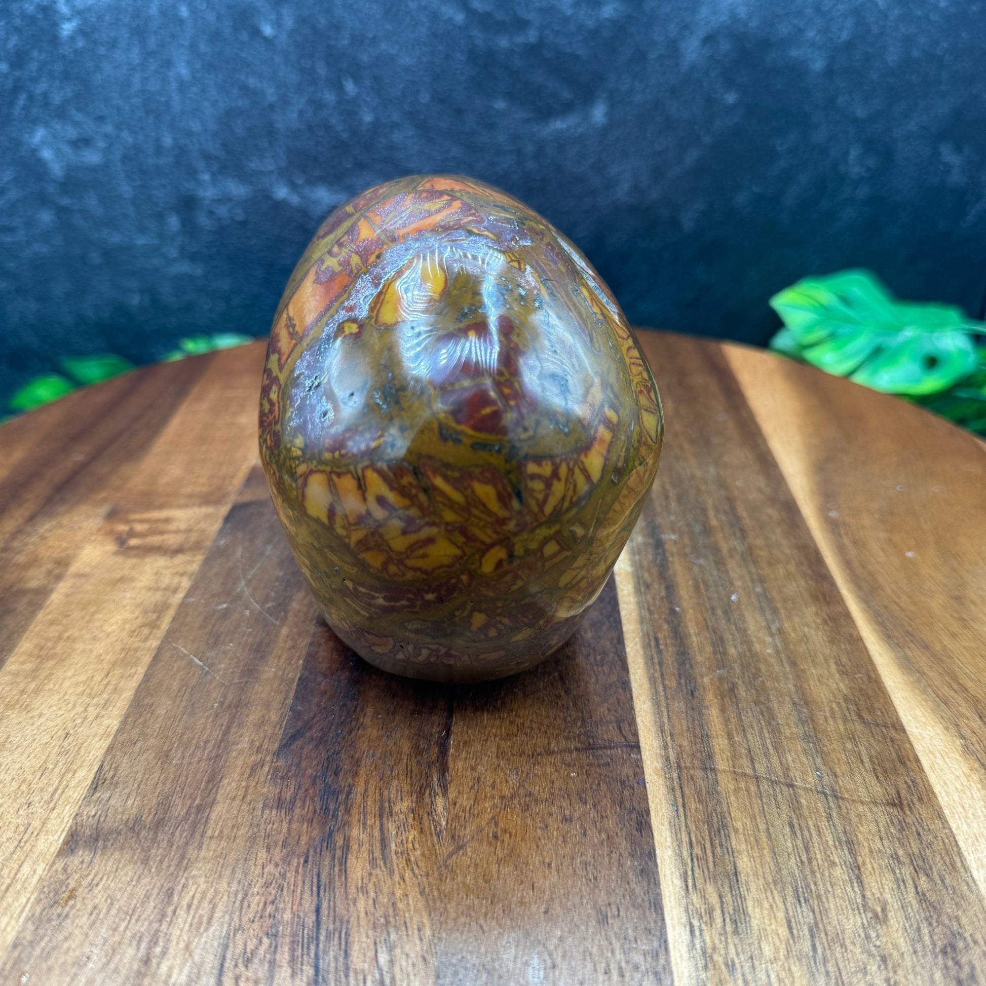 Outback Jasper Skull - Sage & Magic