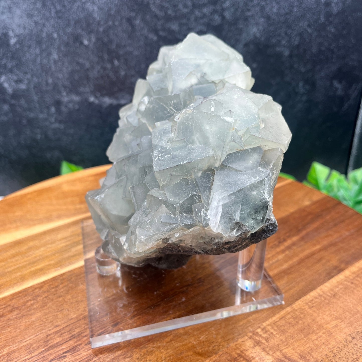 Pale Light Blue Cubic Fluorite Specimen - Sage & Magic