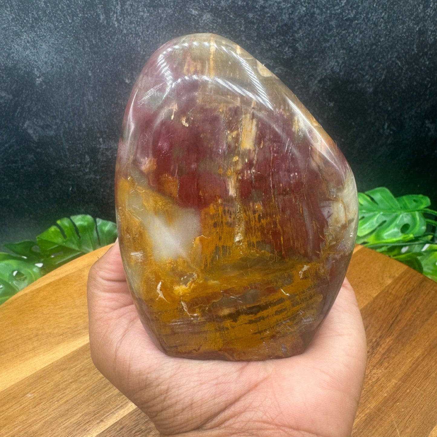 Petrified Wood Freeform - Sage & Magic