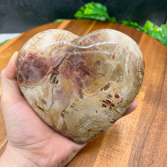 Petrified Wood Heart - Sage & Magic