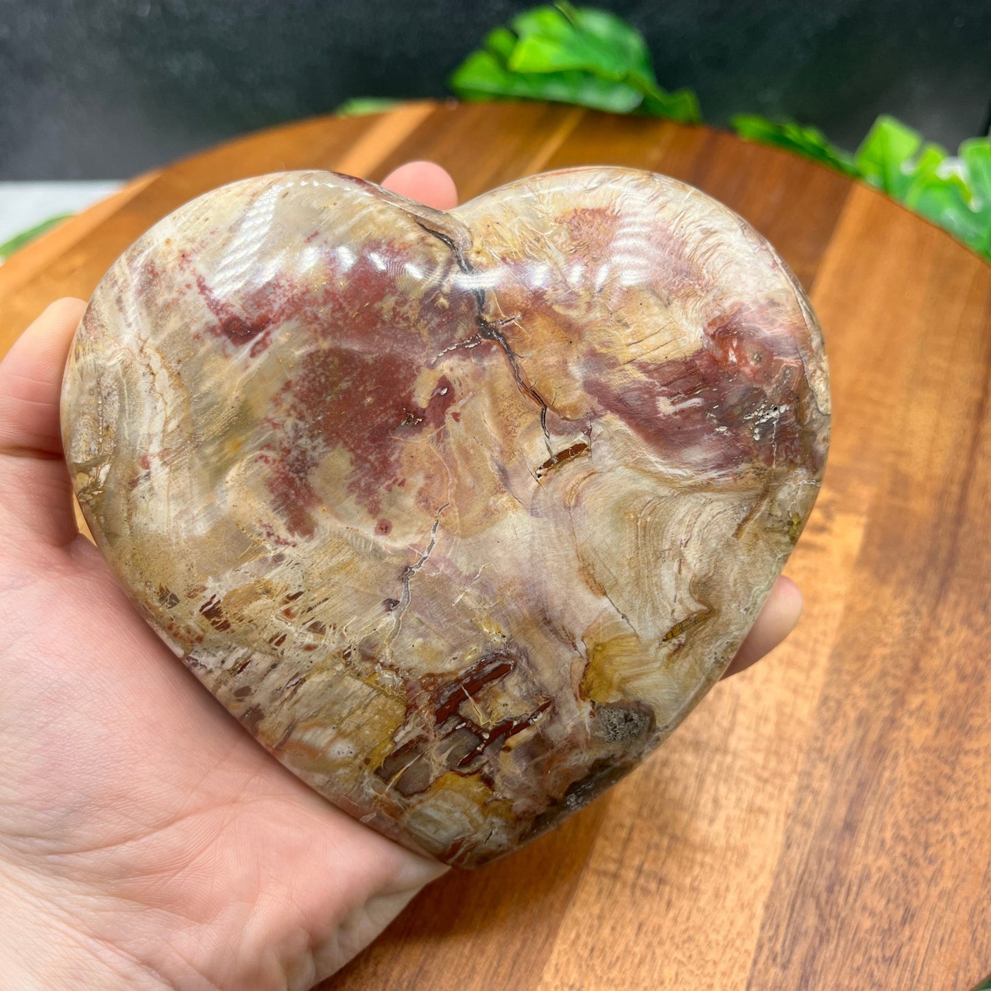 Petrified Wood Heart - Sage & Magic