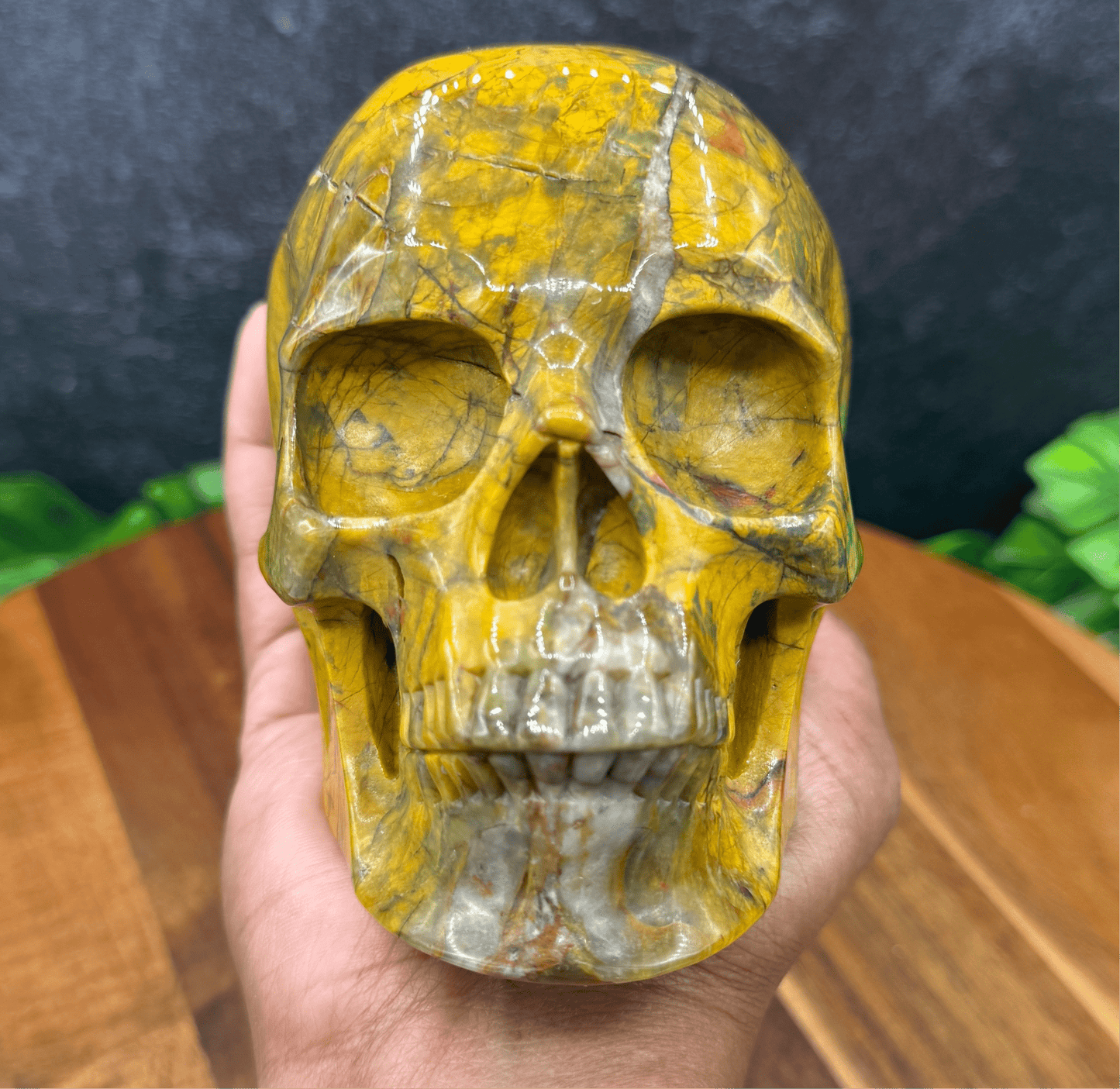 Pietersite Skull - Sage & Magic