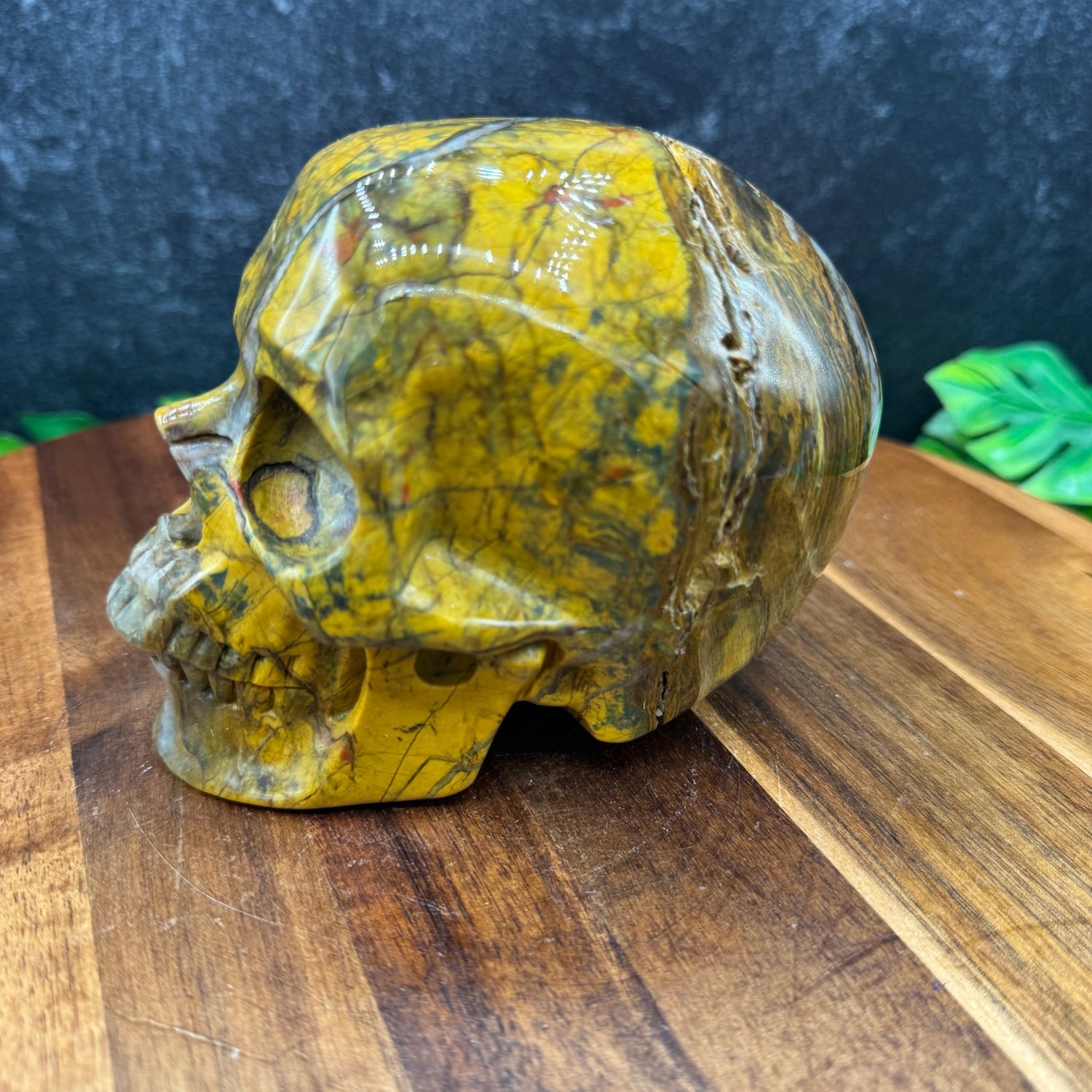 Pietersite Skull - Sage & Magic