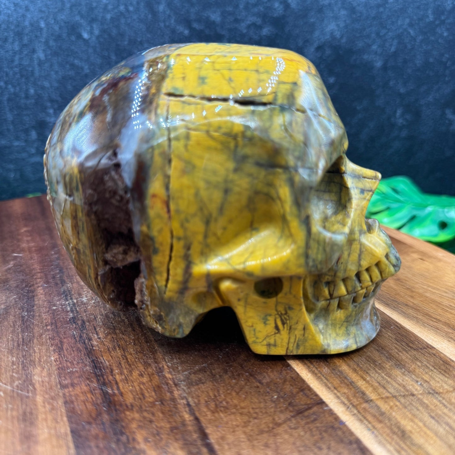 Pietersite Skull - Sage & Magic