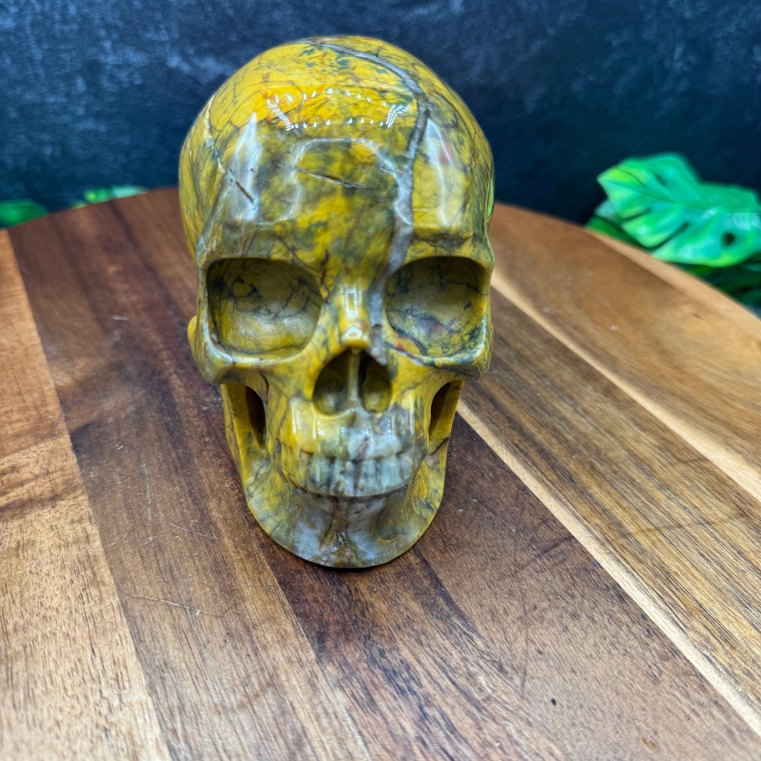 Pietersite Skull - Sage & Magic