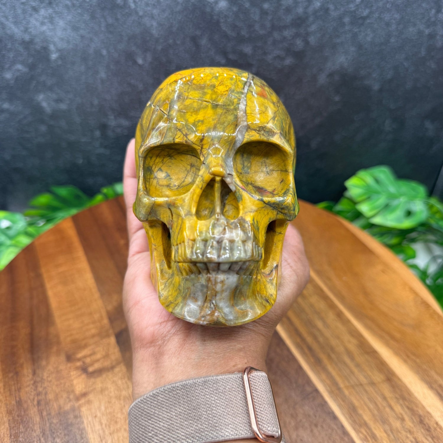 Pietersite Skull - Sage & Magic