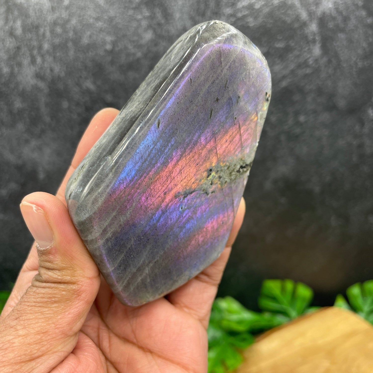 Pink & Purple Flash Labradorite Freeform - Sage & Magic