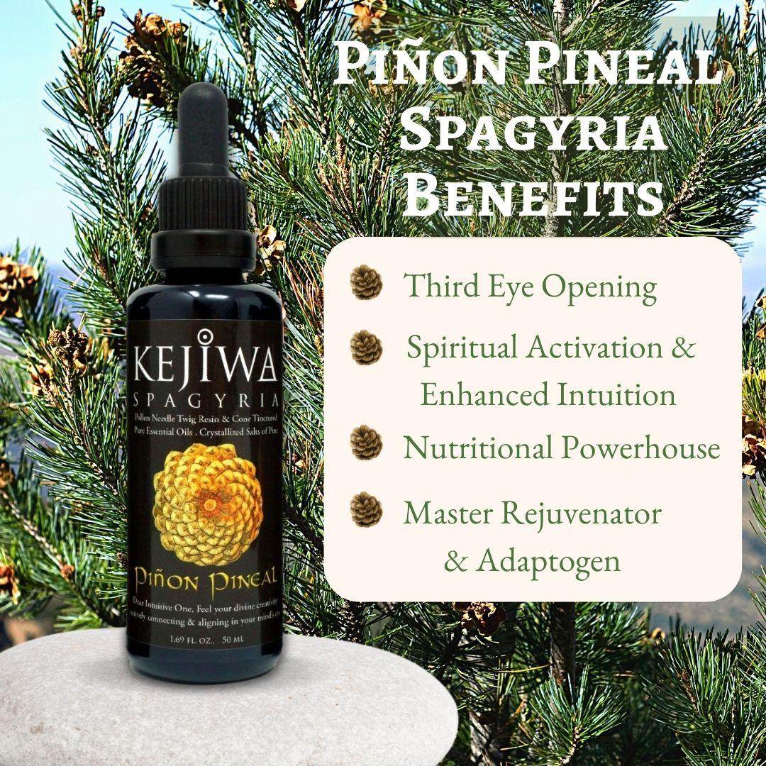 Piñon Pineal Spagyria