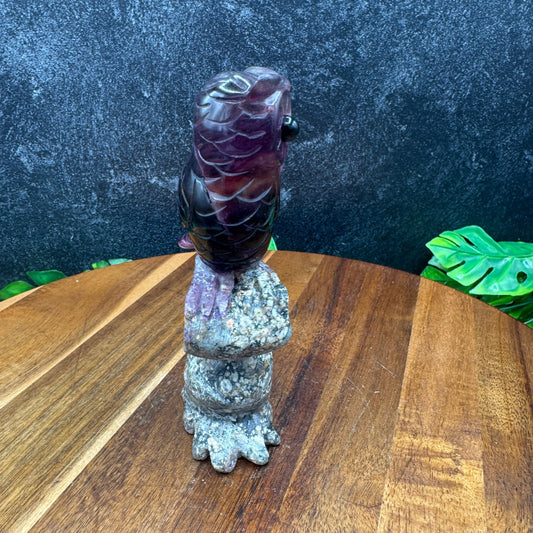 Purple Fluorite Owl on Tree - Sage & Magic