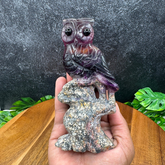 Purple Fluorite Owl on Tree - Sage & Magic