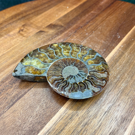 Pyrite in Ammonite - Sage & Magic