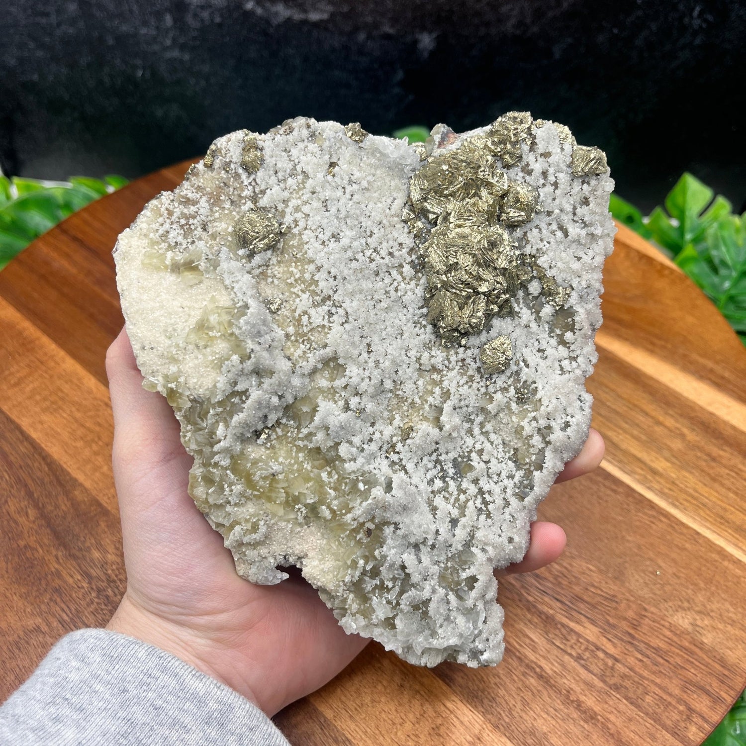 Pyrite on Quartz Specimen - Sage & Magic