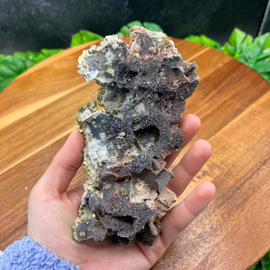 Pyrite with Sphalerite Specimen - Sage & Magic