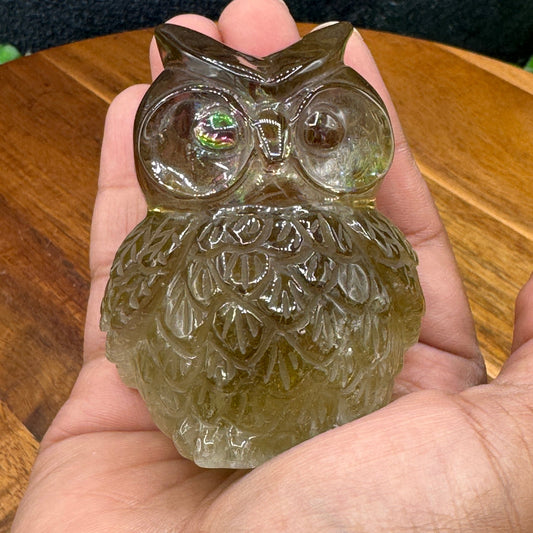 Rainbow Citrine Owl - Sage & Magic