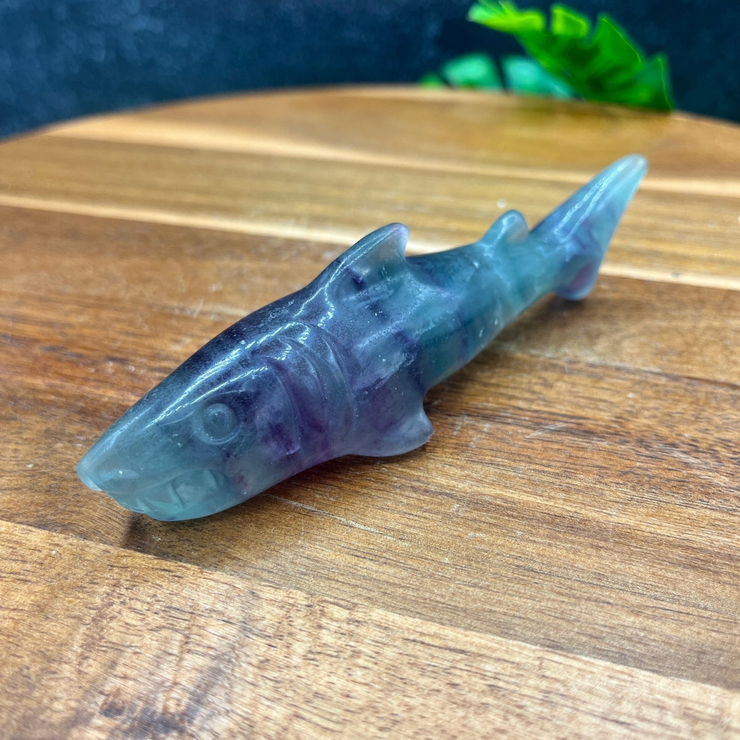 Rainbow Fluorite Shark - Sage & Magic