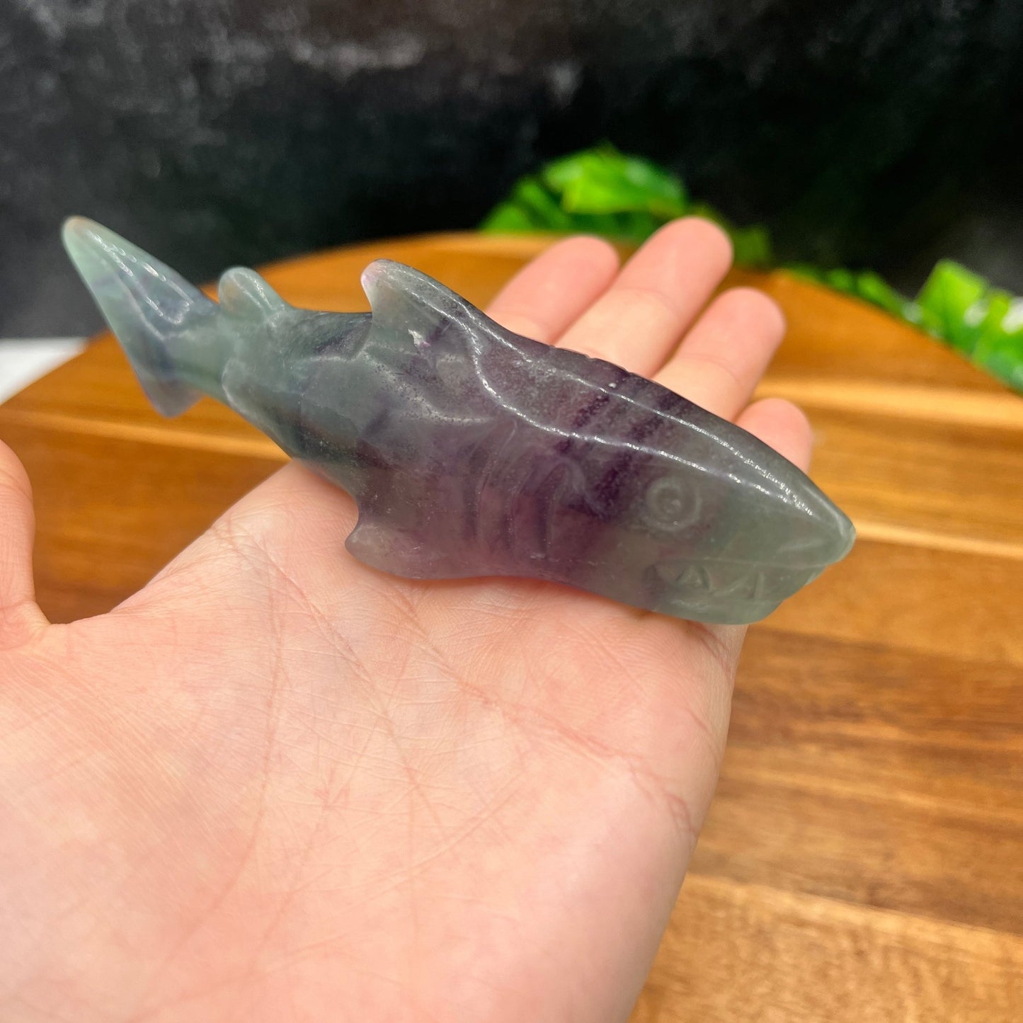 Rainbow Fluorite Shark - Sage & Magic