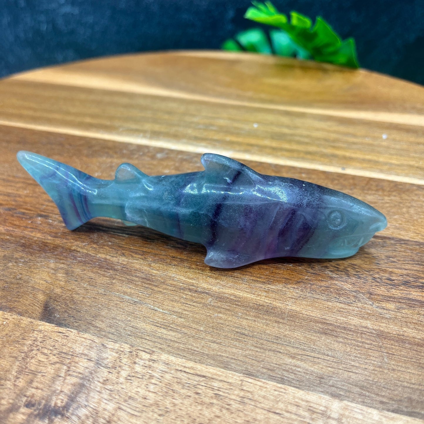 Rainbow Fluorite Shark - Sage & Magic