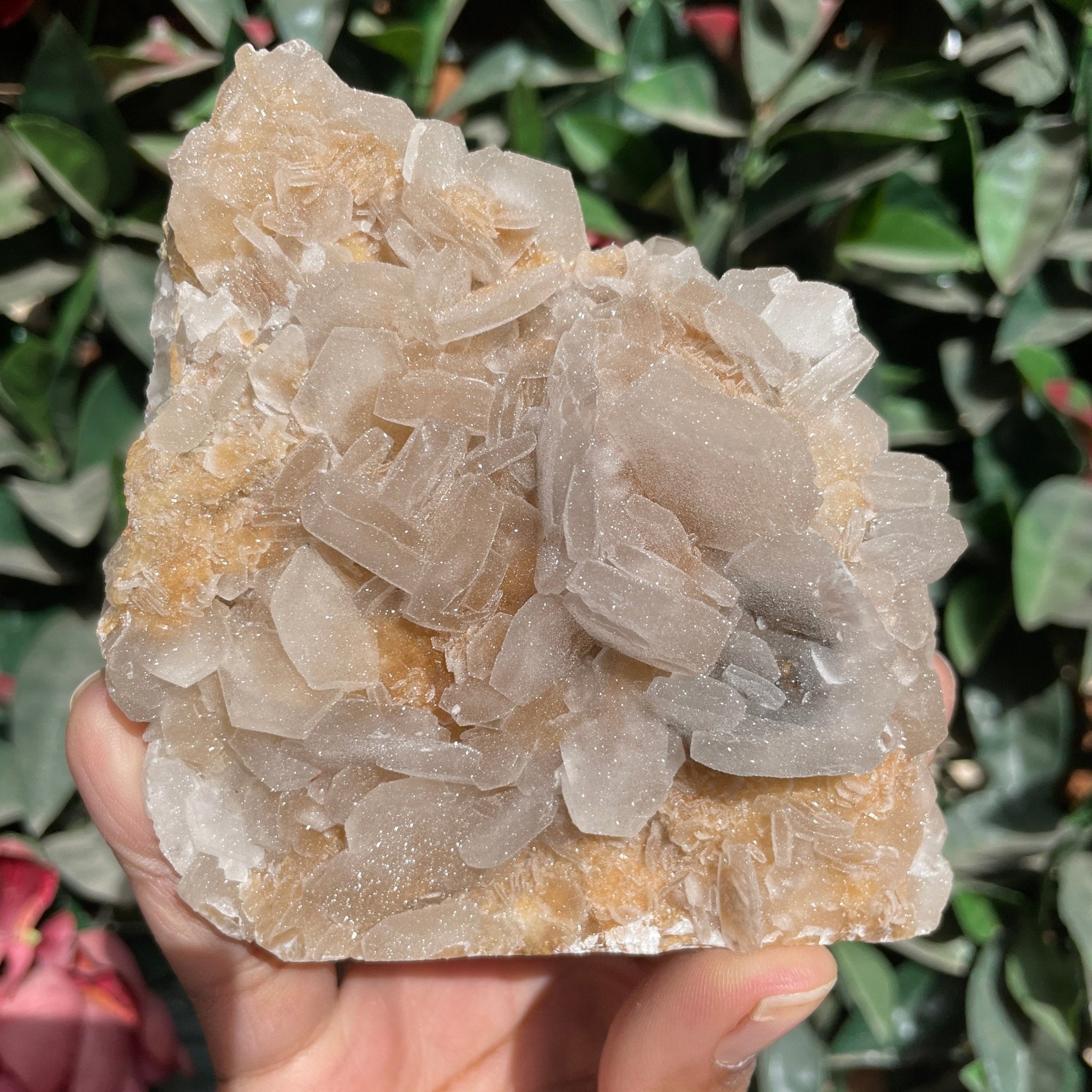 Rarest Calcite Rare Full Sugar Druzy Bladed Calcite Specimen - New Arrivals - Sage & Magic